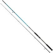 Daiwa Canna Spinning Spitfire Seabass