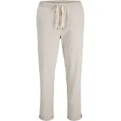Jack & Jones Pantaloni 'JPSTAce Solar' grigio chiaro
