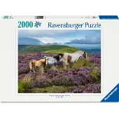 Ravensburger Puzzle Cavalli Selvaggi 2000p (12001751)