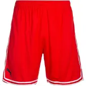 Puma Pantaloni Corti Hoops Team Game