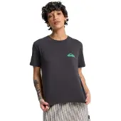 Quiksilver Women's Standard S/S Tee T-shirt Donna (L, nero)