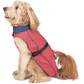 Dog Gone Smart Impermeabile Per Cani Acacia