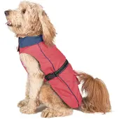Dog Gone Smart Impermeabile Per Cani Acacia