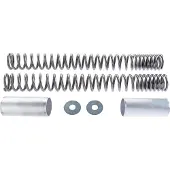 Wirth Federn Molle Per Forcella Progressive GSX 1400