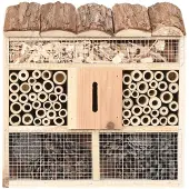 Syfax Casetta per Insetti 30x10x30 cm in Legno di Abete