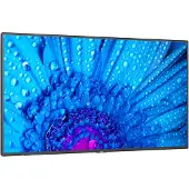 NEC Schermo Multisync M491 49´´ 4k Led