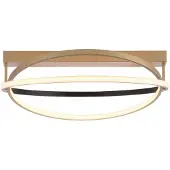 Q-SMART-HOME Paul Neuhaus Q-Beluga plafoniera LED, ottone