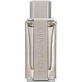Salvatore Ferragamo Ferragamo Bright Leather EDT 100ml