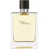 Hermès Paris Terre D'EDT 100ml — Eau de Toilette