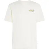 O'Neill Graphic Logo T-Shirt T-shirt Uomo (XL, bianco)
