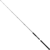 Daiwa Canna Slow Jigging Legalis
