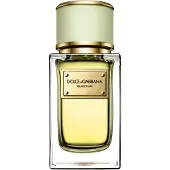 Dolce&Gabbana Velvet Pure Eau de Parfum 50ml — Donna