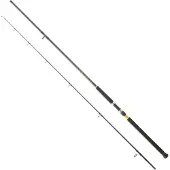 Daiwa Canna Jigging Legalis Shore