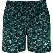 Puma Pantaloncino Da Bagno 701237075