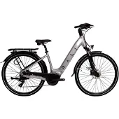RALI Bicicletta Elettrica E-city Vinka 700c Ardtx800d