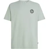 O'Neill Slub Back Print T-Shirt T-shirt Uomo (L, grigio)