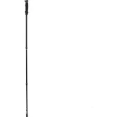 Softjim Bastoncino Alpine