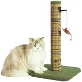 Zolux BOREAL M, tiragraffi per gatti, 60 cm, verde