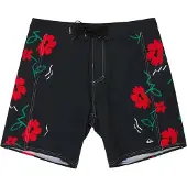 Quiksilver Surfsilk Arch 18 Pantaloncini Uomo (32, blu)