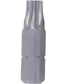 Cofan Punta Torx Di Sicurezza T25 10 Unità
