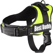Flamingo Pettorina Per Cani Best Buddy Pluto
