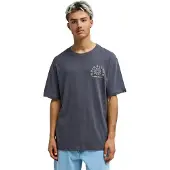 Quiksilver Curve Palm T-shirt Uomo (S, grigio)