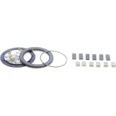 Zipp Kit Molla E Cricchetto Per Mozzi Zm2 12 Unità