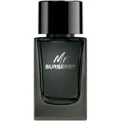 Burberry Mr. Uomo 100 ml — Eau de Parfum