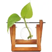 Winkee Vaso In Ceramica Hydro