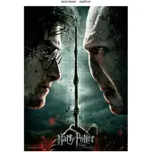 SD Toys Harry Potter Voldemort Vs Harry Puzzle 1000 Pezzi