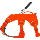 Ruffwear Pettorina Per Cani Web Master