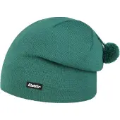 Eisbar Adam Berretto Uomo (One Size, verde)