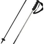 Head Bastoncini Porsche Carbon