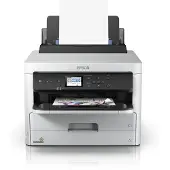 Epson Cartuccia stampante C529R/C579R (C13T01C300) - Magenta Alta capacità
