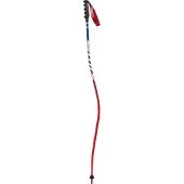 Swix Bastoncini World Cup Pro Dh Carbon