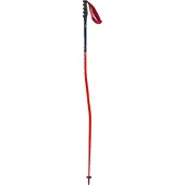 Swix Bastoncini World Cup Pro Super-g