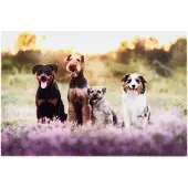 Tarres Tappetino per interni, Deco Print, 100% poliammide, motivo con cane, 40 x 60 cm