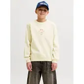 JACK&JONES JUNIOR Felpa Stampa Sul Retro Boys
