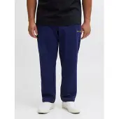 Plus Size Pantaloni Relaxed Fit