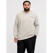 Jack&Jones PLUS Plus Size Felpa Stampato
