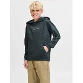 JACK&JONES JUNIOR Felpa Con Cappuccio Boys