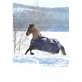 Bucas Outdoordecke 300g Smartex Turnout Extra Weidedecke Blu 125 cm