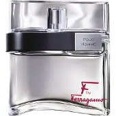 Salvatore Ferragamo F Uomo 100 ml — Eau de Toilette