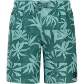 Protest Kid's PRTWilliam Pantaloncino da bagno Bambini (140, turchese)