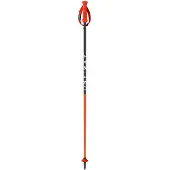 Fischer Bastoncini Junior Rd Sl