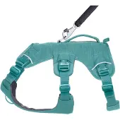 Ruffwear Web Master Harness Imbracatura per cani (M, verde)