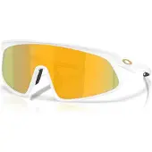 Oakley RSLV 141 S3 Occhiali da ciclismo variopinto
