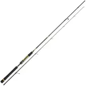 Daiwa Canna Jigging Crosscast Shore Game I