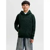 JACK&JONES JUNIOR Felpa Con Cappuccio Con Logo Boys