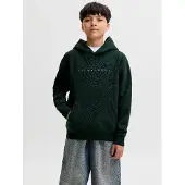 Jack & jones Felpa Con Cappuccio Con Logo Boys